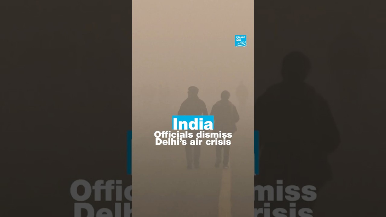 India: Officials dismiss Delhi’s air crisis • FRANCE 24 English