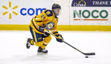 Hochei / Fundaș american la Corona Brașov