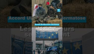 Mercosur, dermatose : mobilisation d'agriculteurs en France et en Belgique • FRANCE 24