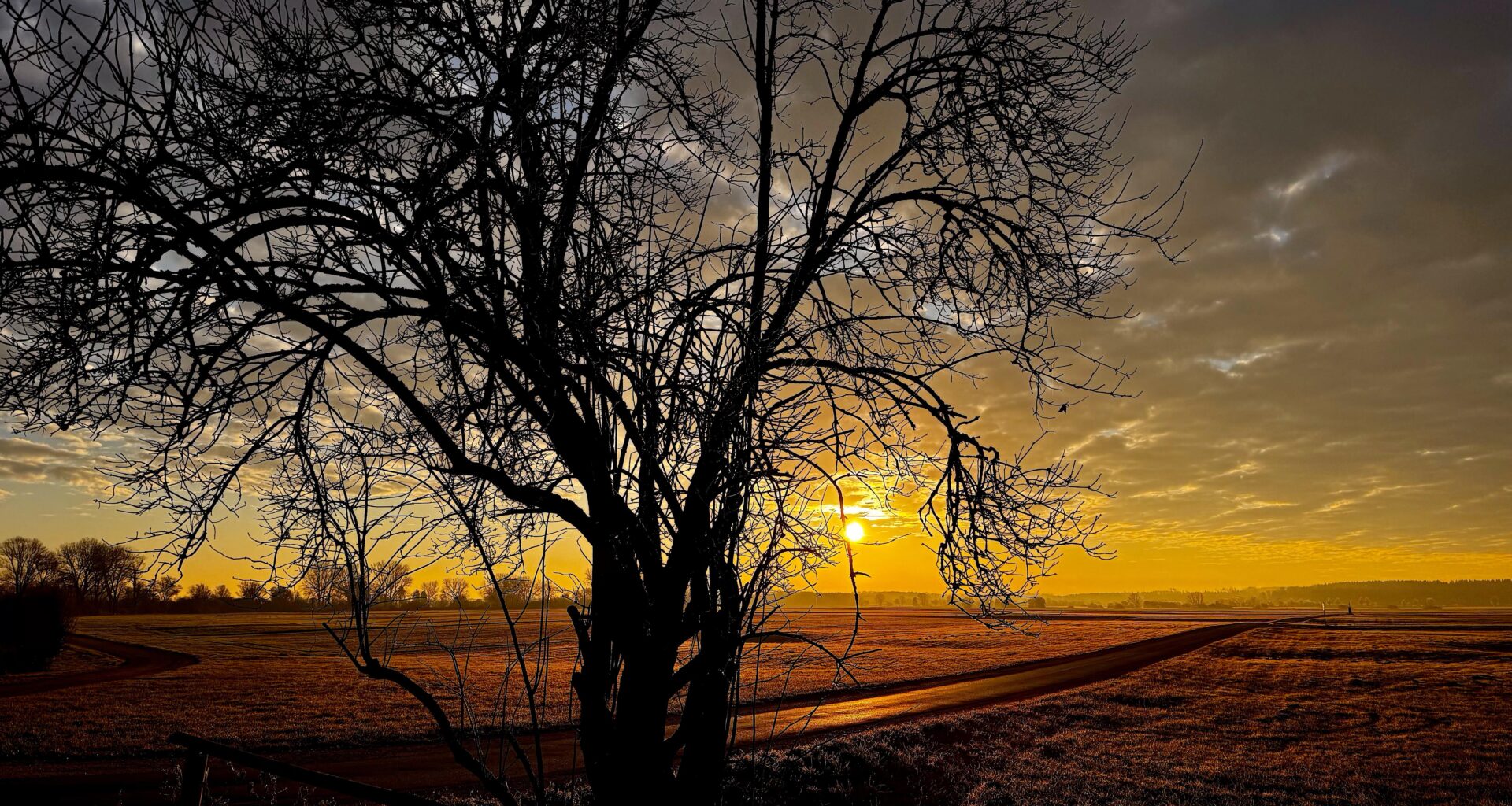 Walking früh morgens [ OC ]