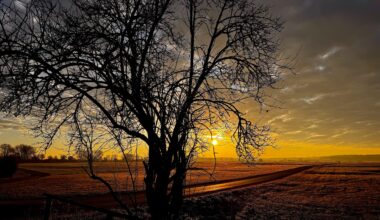 Walking früh morgens [ OC ]