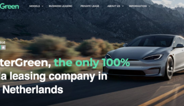 Tesla rental fleet that bought into Elon Musk's self-driving lies goes bankrupt due to depreciation