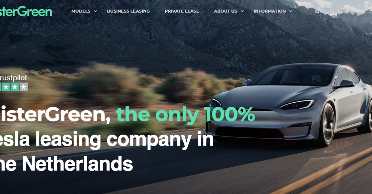 Tesla rental fleet that bought into Elon Musk's self-driving lies goes bankrupt due to depreciation