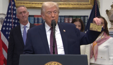 'Like a green card on steroids!'