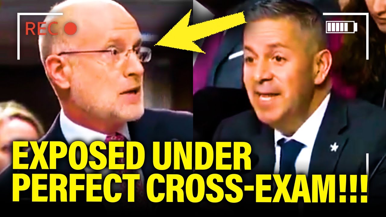 Trump TOP WITNESS Gets EXPOSED by CROSS-EXAM in SENATE HEARING