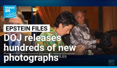 'No major revelations' in heavily redacted release of Epstein files • FRANCE 24 English