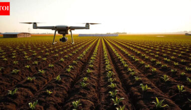 AIKCC and BKCC to collaborate with FCCI to learn modern farming techniques in Netherlands | India News