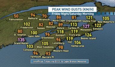 More than 50,000 N.B. Power customers without power due to strong winds