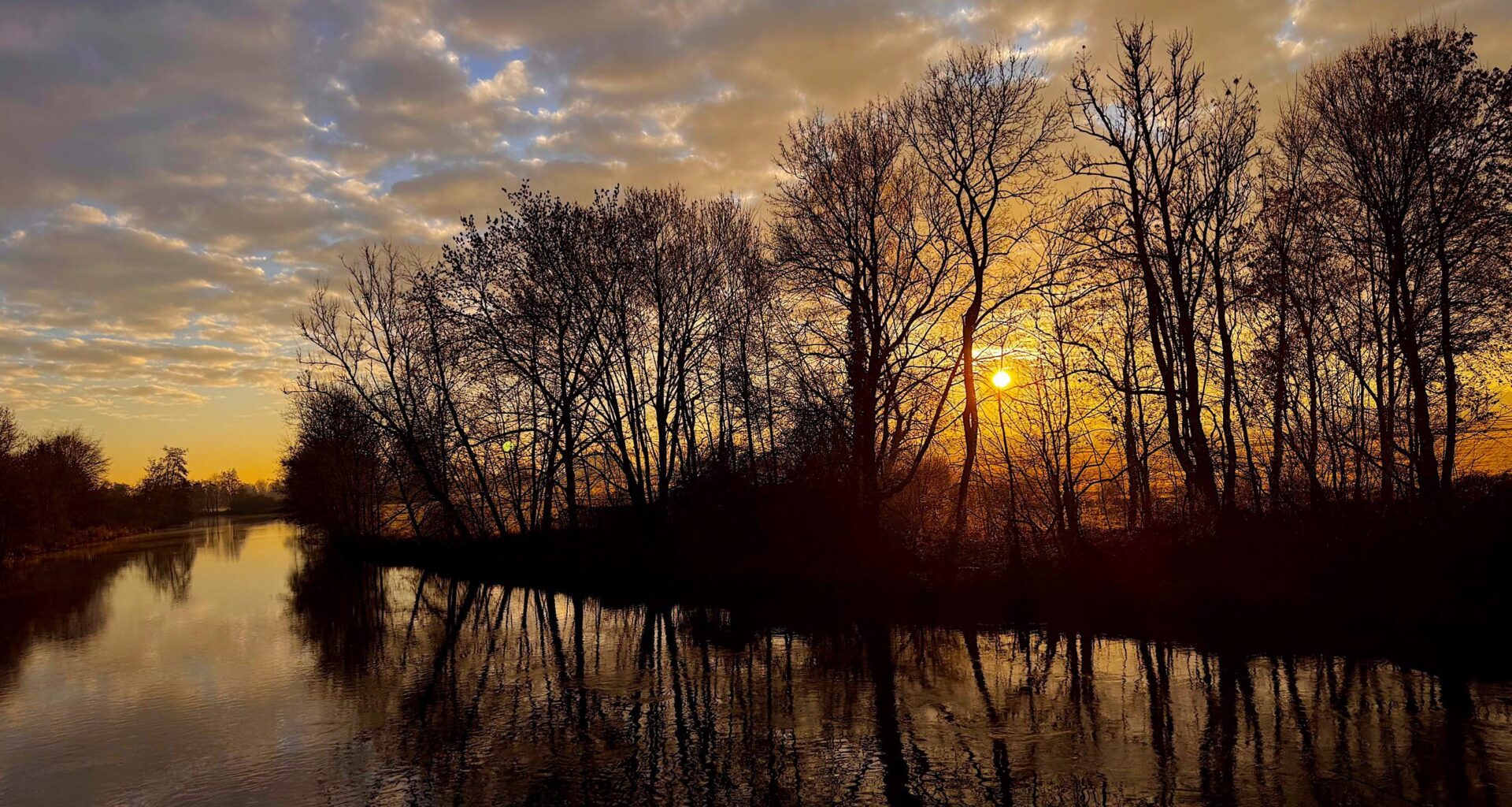Früh morgens an der Donau [ OC ]