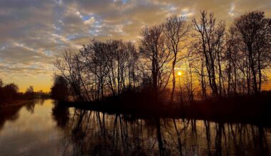 Früh morgens an der Donau [ OC ]