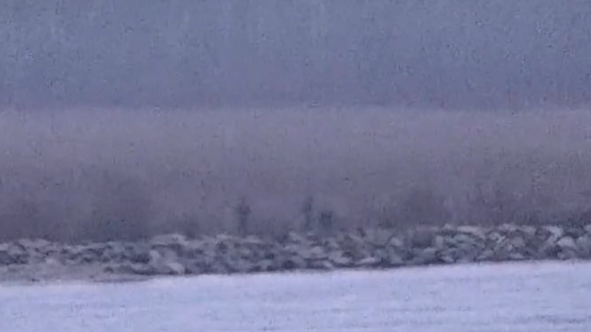 Estonie : trois garde-côtes russes franchissent la frontière de l’Otan