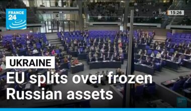 EU leaders split over using frozen Russian assets for Ukraine • FRANCE 24 English