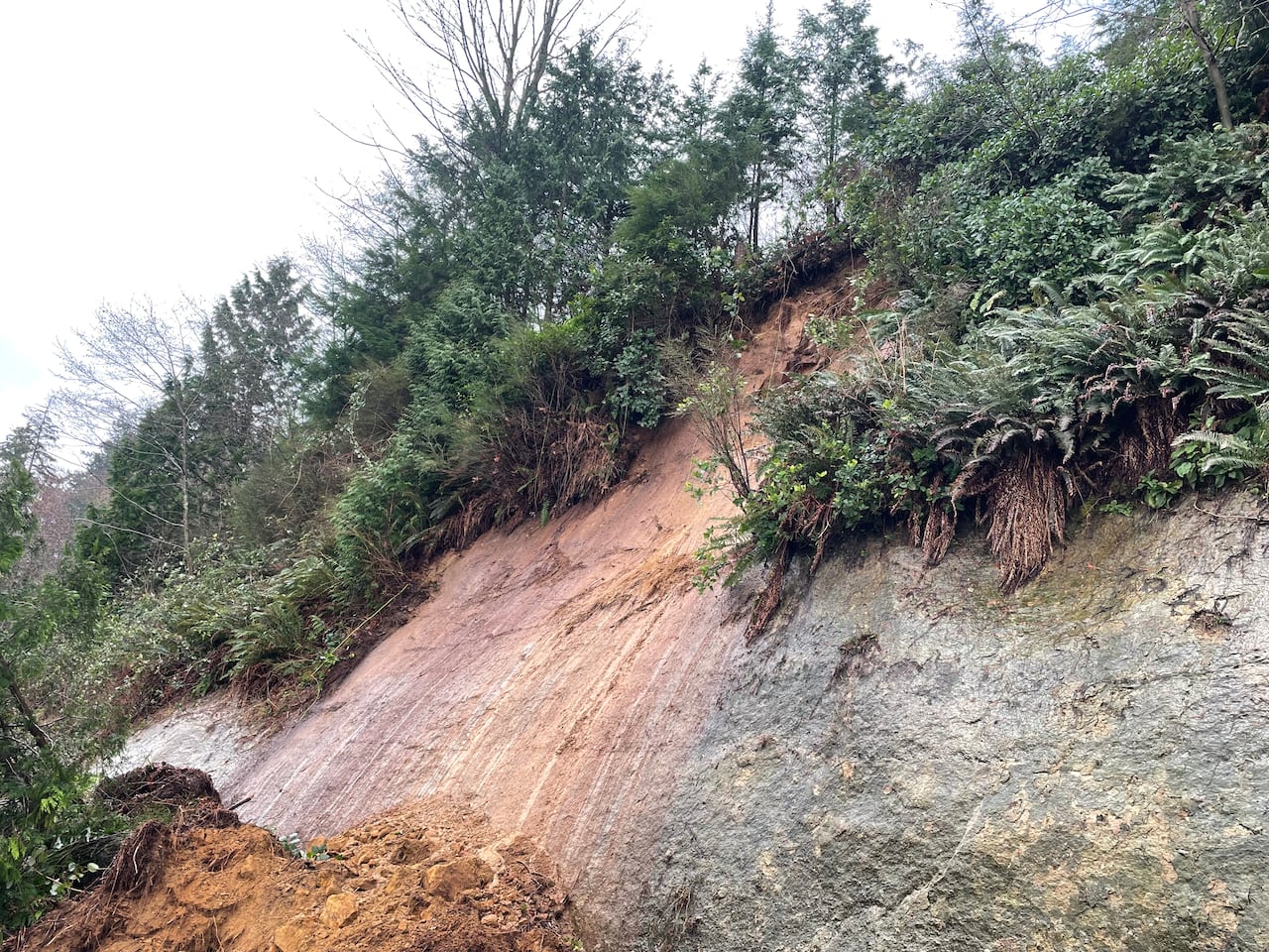 A face of rock with vegetation shows slidemarks of mud after a mudslide in rainy weather
