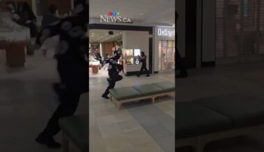 Five arrested after Georgian Mall heist involving pepper spray and hammer