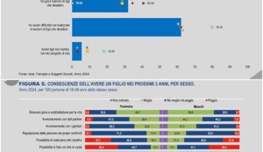 Intenzioni di fecondità ISTAT: Sempre meno persone vogliono avere un figlio, nel 2024 solo il 21,2% delle persone tra 18 e 49 anni intende avere un figlio nei successivi tre anni (era il 25,0% nel 2003)