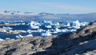 security guard in uniform