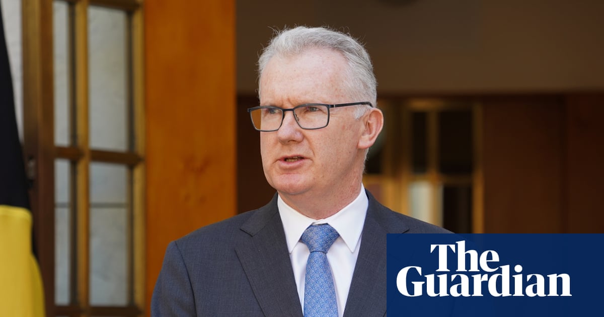 British man’s Australian visa cancelled after being charged with displaying Nazi symbols | Australian immigration and asylum