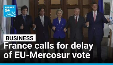 French government calls for delay of EU-Mercosur trade deal vote • FRANCE 24 English