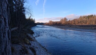 Wilde Isar südlich von München