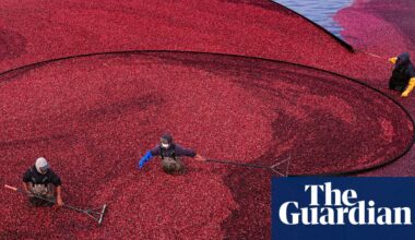 Wednesday briefing: What your Christmas cranberries reveal about the climate crisis | Food security