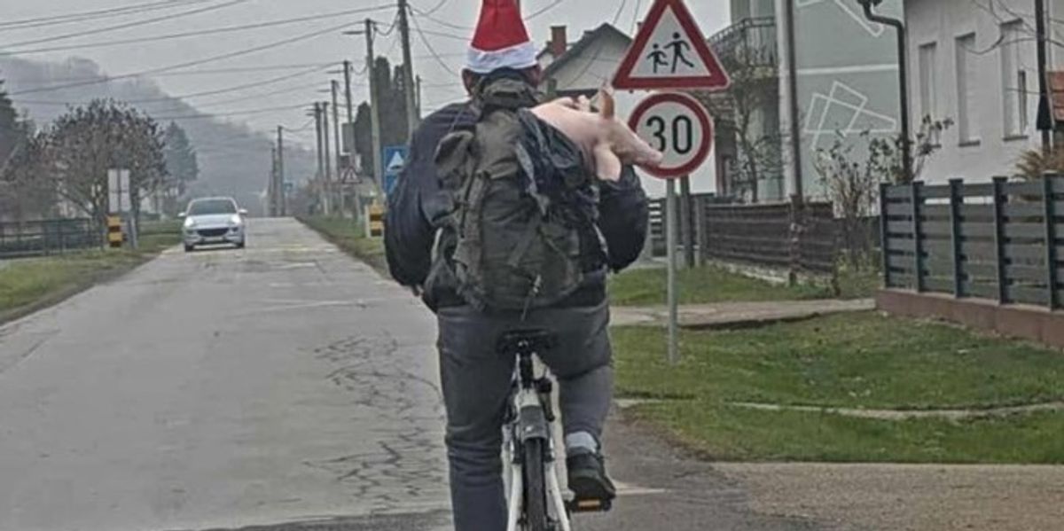 A man in Croatia was riding a bike and was carrying a small pig in his backpack
