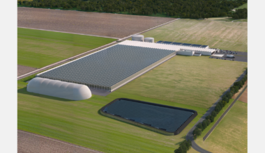 New baby leaf production in Slovenia, the centre of Europe