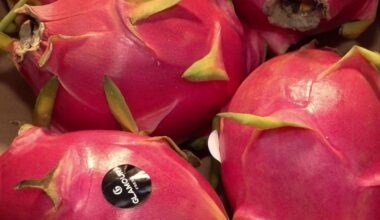 des producteurs misent sur des fruits exotiques "Made in France"