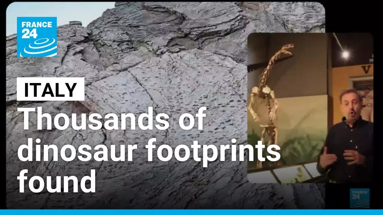 Italy: Thousands of dinosaur footprints discovered near Winter Olympics site • FRANCE 24 English