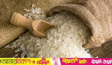 Govt approves import of 1 lakh tonne rice from India, Pakistan