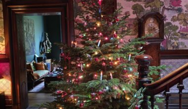 My parents Christmas tree only me and my parents left feels a shame not to share such a beautiful tree