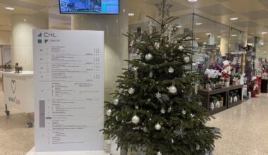 How do Luxembourg's hospitals prepare for the holidays?