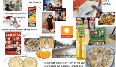 polish christmas starterpack