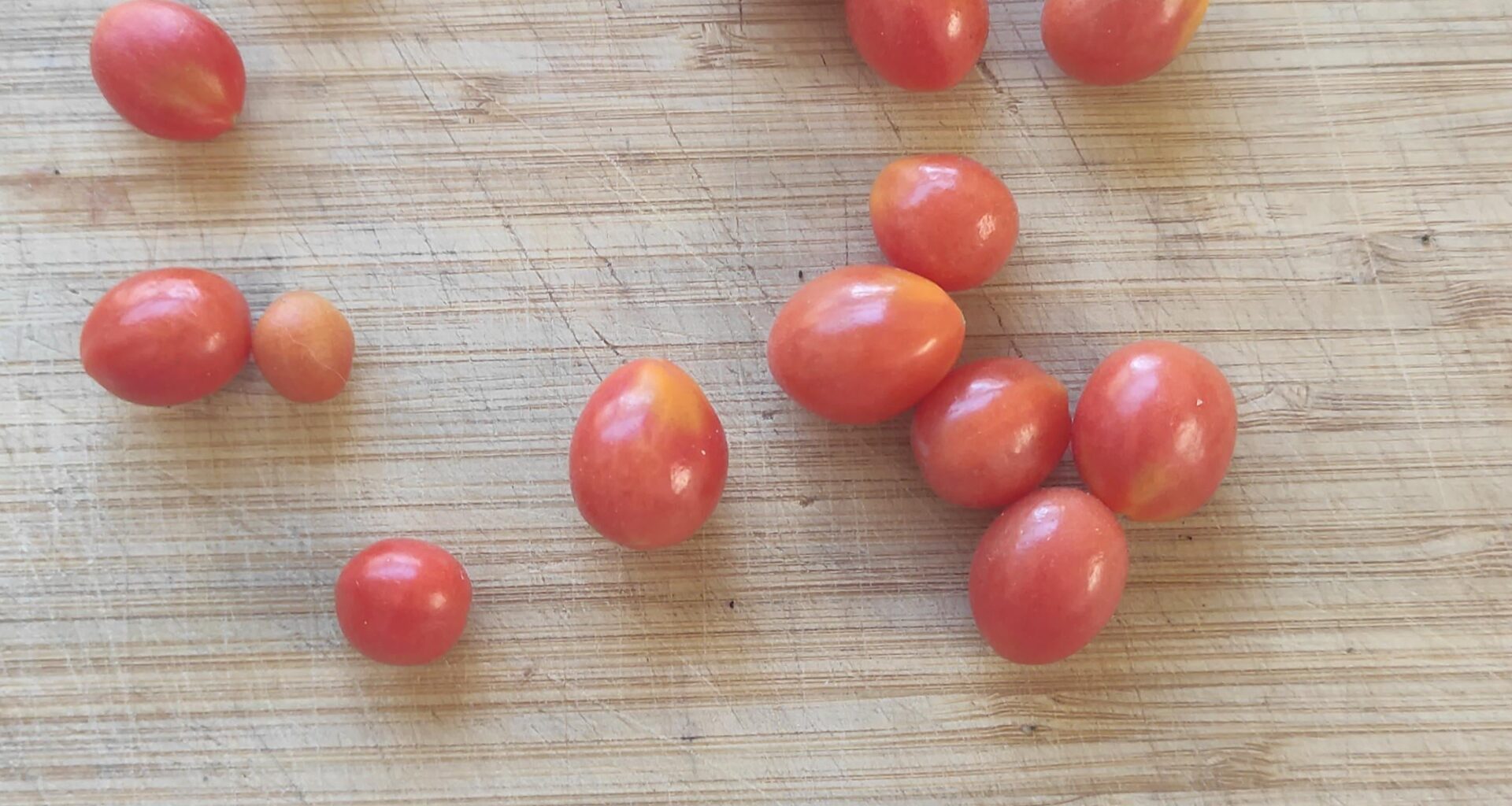 Letzte Tomaten in diesem Jahr