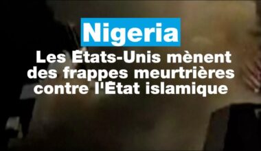 Nigeria : les Etats-Unis mènent des frappes meurtrières contre l'État islamique • FRANCE 24