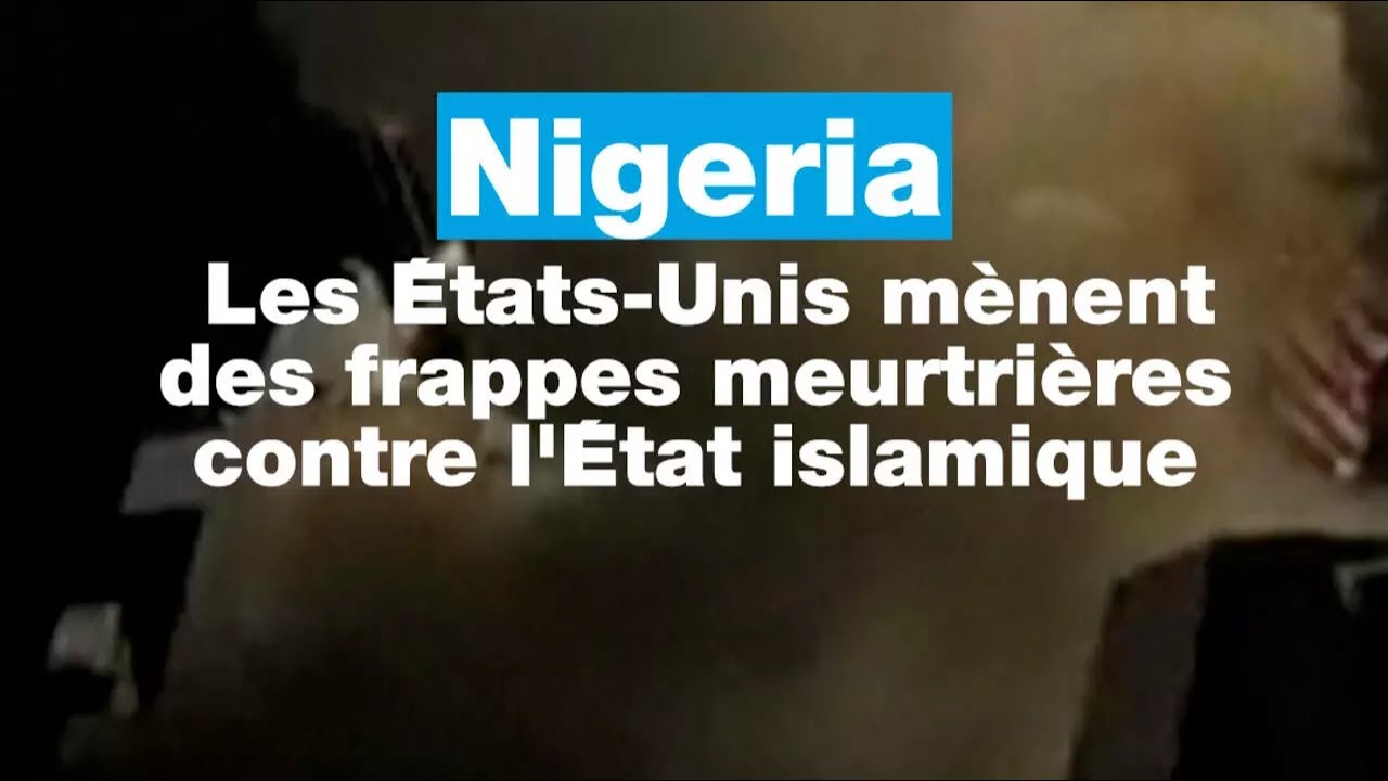 Nigeria : les Etats-Unis mènent des frappes meurtrières contre l'État islamique • FRANCE 24