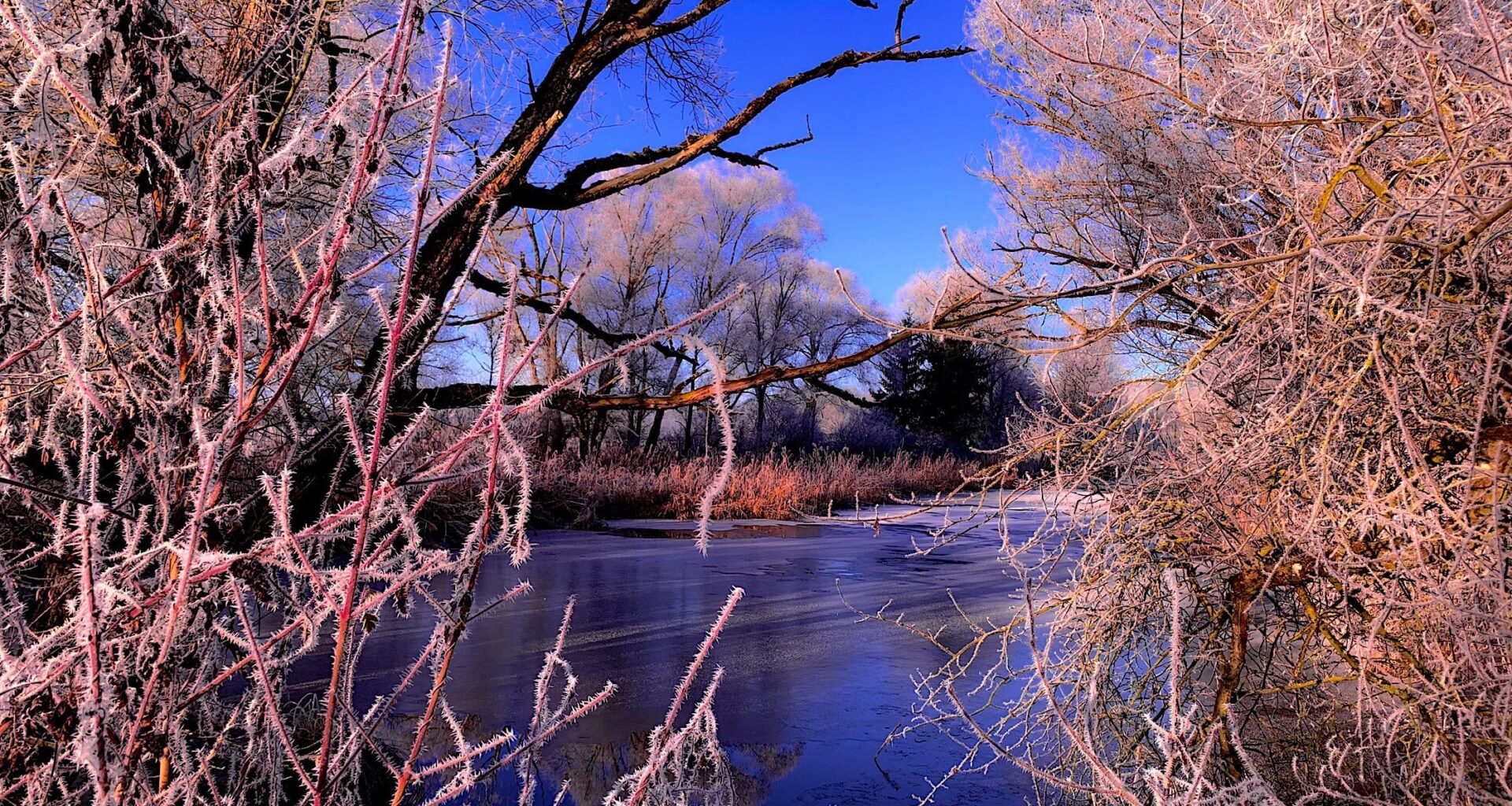 a cold morning [ OC ]