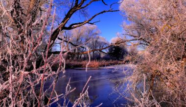 a cold morning [ OC ]