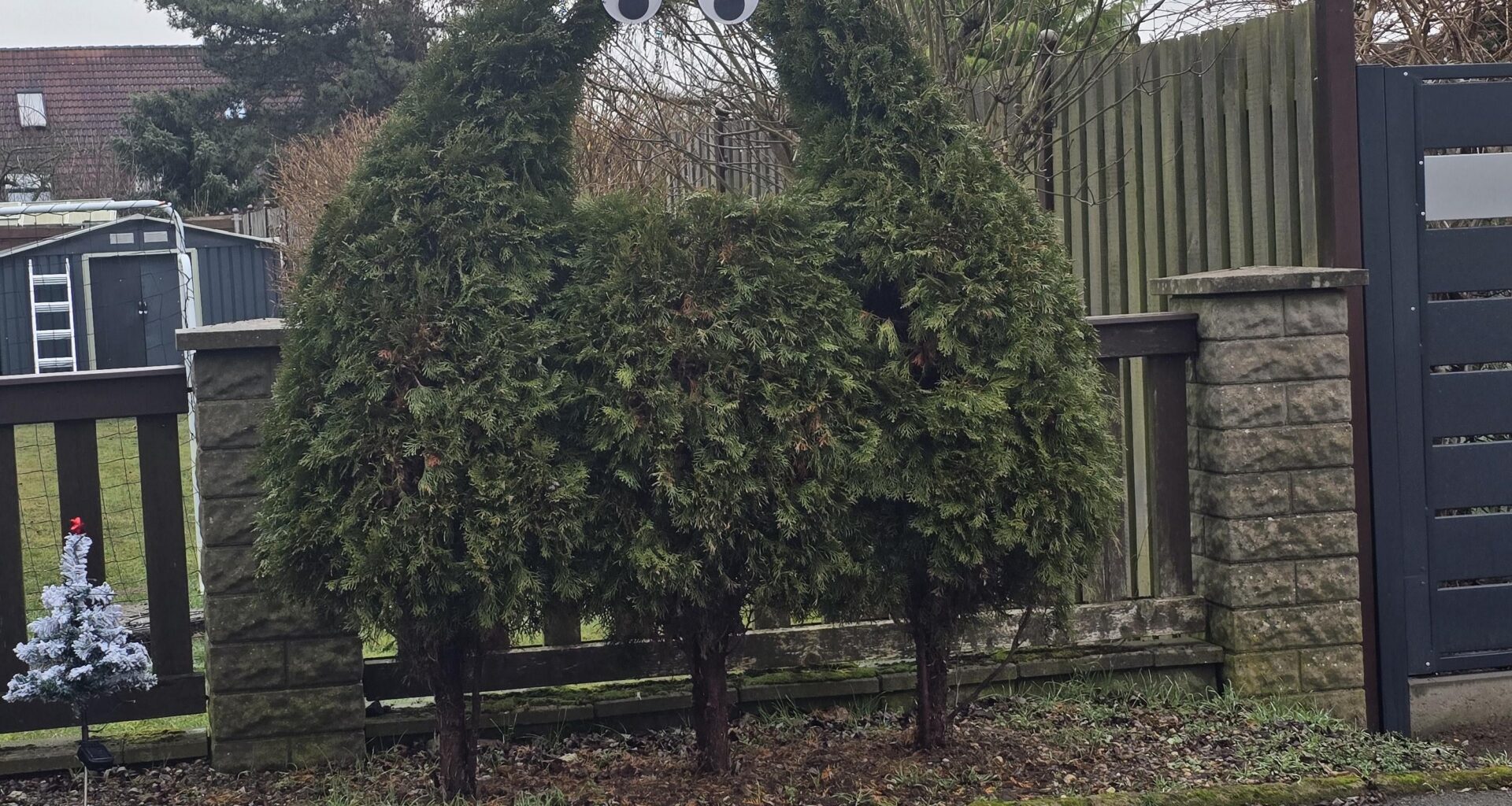 Wenn die Frau ne Idee im Kopf hat. 🤣