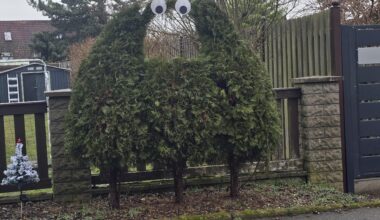 Wenn die Frau ne Idee im Kopf hat. 🤣