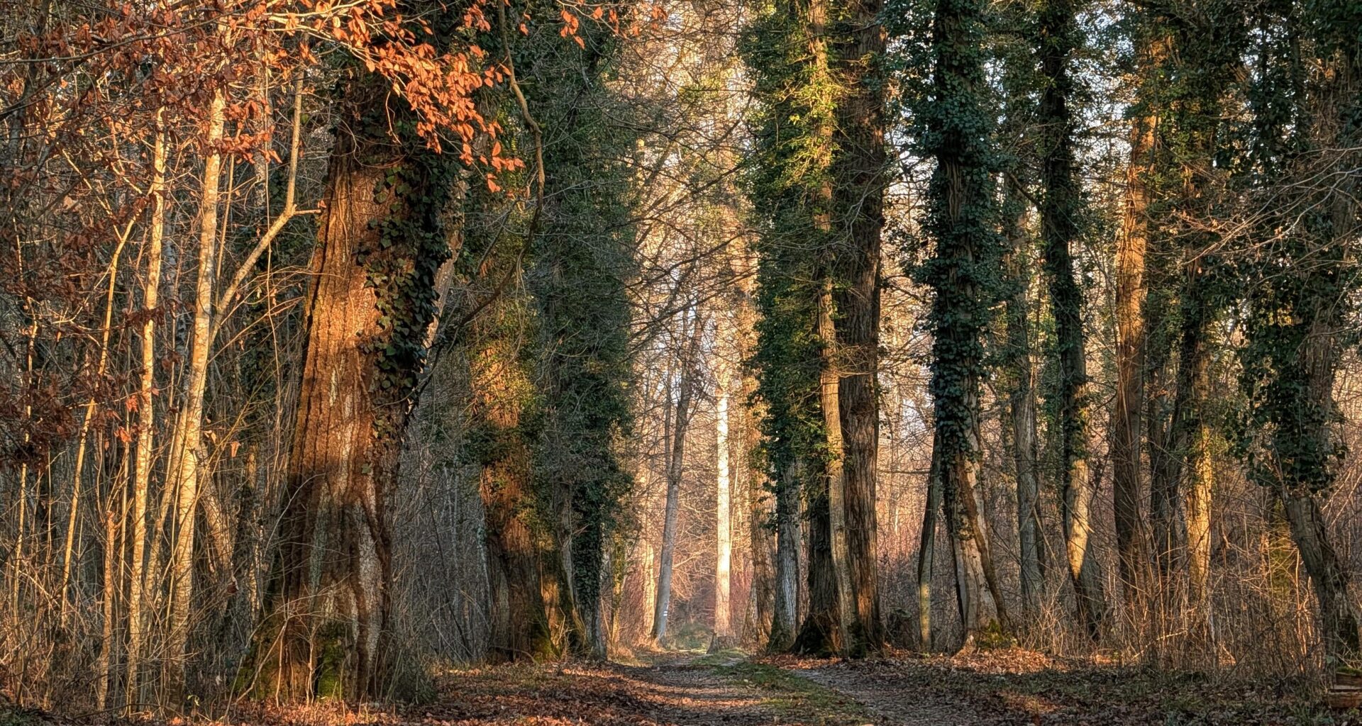 Hottest December in Germany 🇩🇪