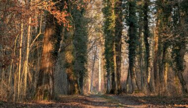Hottest December in Germany 🇩🇪