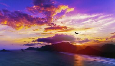 Receiving the 59th World Day of Peace Message in the current Australian context