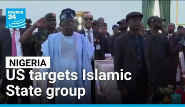 US cooperation with Nigerian government targets Islamic State group • FRANCE 24 English