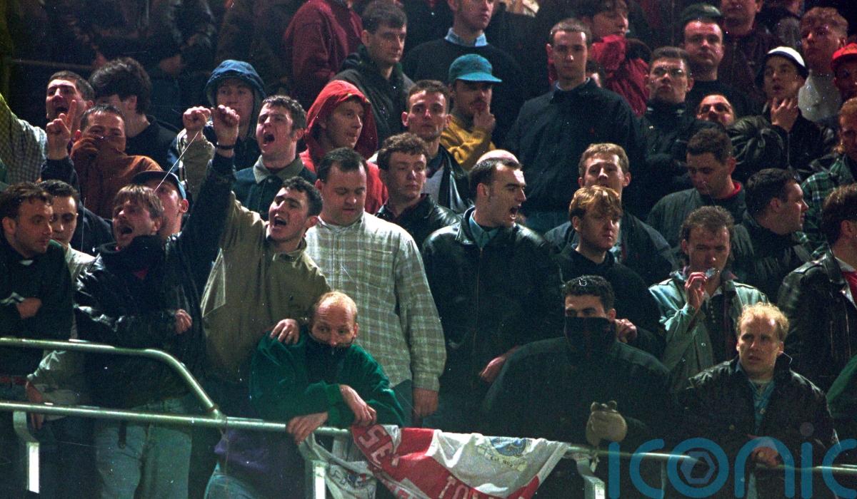 Security plans ahead of 1995 Lansdowne Road riot ‘not clearly understood’