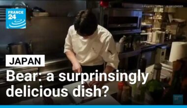 In Japan, bears have gone from dangerous to delicious • FRANCE 24 English