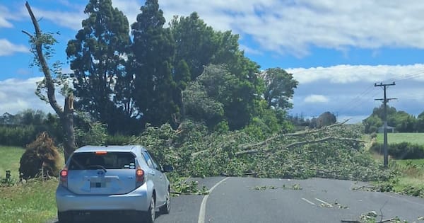 Power cuts, trees down as heavy rain, gales batter upper North