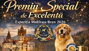 Expoziție națională multirasă la Bran