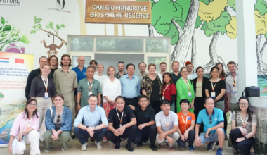 Mangrove conservation and sustainable aquaculture in Vietnam: thriving together