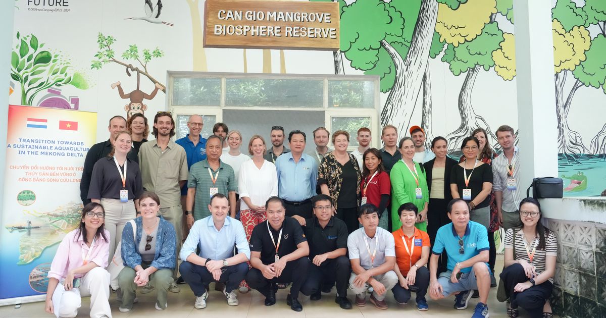 Mangrove conservation and sustainable aquaculture in Vietnam: thriving together