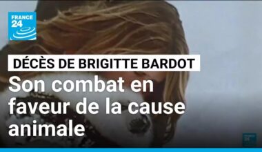 Brigitte Bardot et son combat en faveur de la cause animale • FRANCE 24